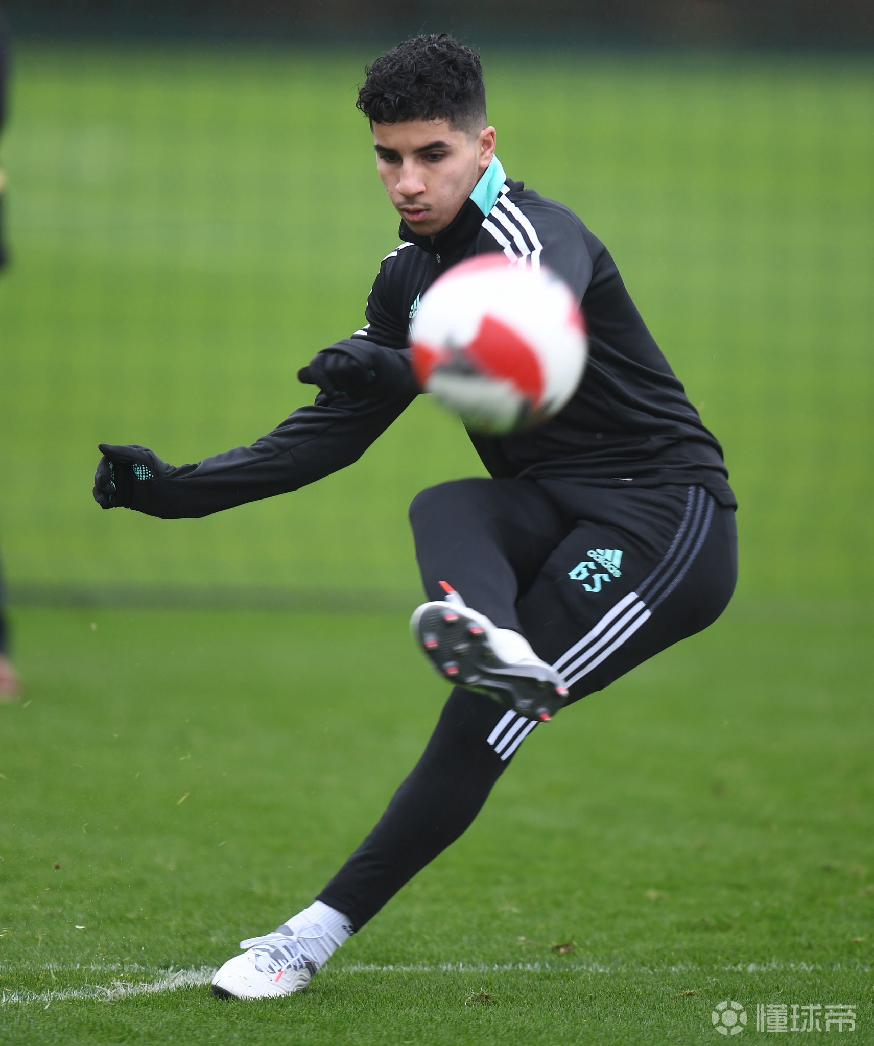 lol-关于转会期多伦多猛龙备战足总杯，外线爆发细节曝光，震撼外界，高层口径保持一致的信息